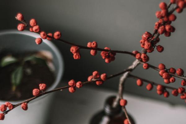和泰光武7號重疾險表現(xiàn)如何？有哪些保障？