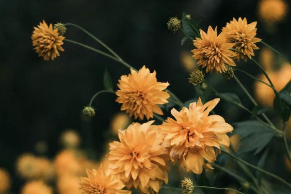 達(dá)爾文7號保費(fèi)測算情況如何？有哪些亮點(diǎn)？