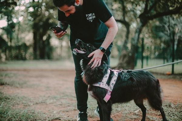 意外險狂犬疫苗花費500元報銷多少？怎么報銷？