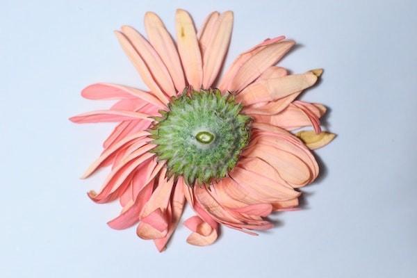信泰如意倍護(hù)無憂重大疾病保險(xiǎn)怎么樣？投保時(shí)需要注意什么？