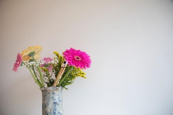 在農(nóng)村不交養(yǎng)老保險到60周歲有錢嗎？沒有交滿可以補交嗎？