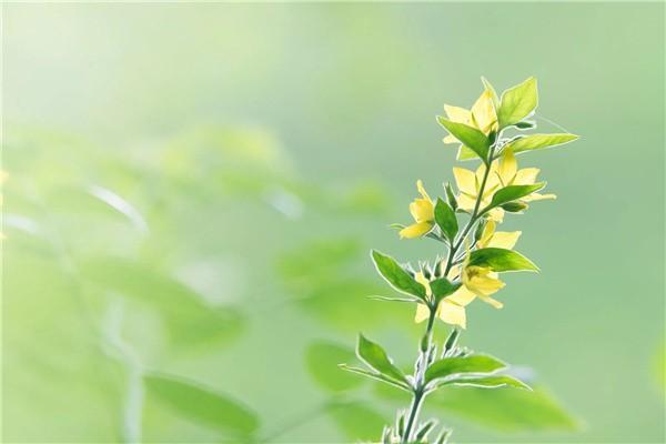 四十歲交醫(yī)療保險合適嗎？醫(yī)療保險交多久能用？