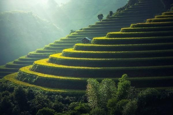 城鄉(xiāng)居民養(yǎng)老保險(xiǎn)從幾歲開始交？幾月份交費(fèi)？