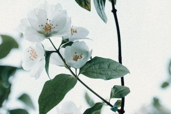 昆侖健康保險(xiǎn)歲享金生終身護(hù)理保險(xiǎn)怎么樣？有哪些優(yōu)缺點(diǎn)？
