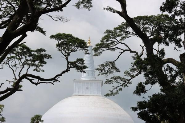 重疾險出險后保險公司去醫(yī)院調(diào)查嗎？調(diào)查要多久？
