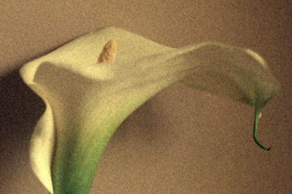 聯(lián)想意外險怎么用？保修范圍有哪些？