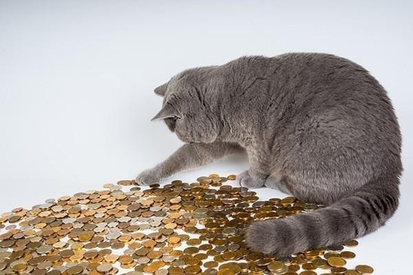 怎么跟分期樂(lè)協(xié)商還本金呢？協(xié)商二次分期