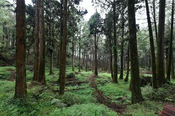 2023天津醫(yī)保意外險報銷流程是什么？范圍有哪些？
