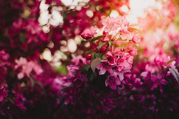 視網(wǎng)膜脫落可以報(bào)意外險(xiǎn)嗎？意外險(xiǎn)怎么理賠？