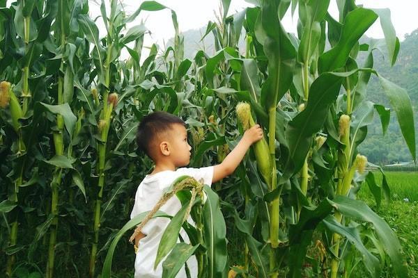 太平洋意外險怎么查詢？怎么查詢繳費記錄？