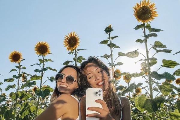 太平洋保險公司金生無憂重疾險怎么樣？可靠嗎？