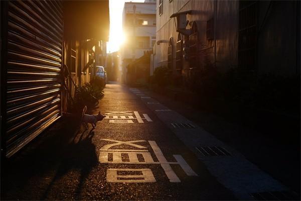 職工重大疾病醫(yī)療補助是單位承擔嗎？有多少錢呢？