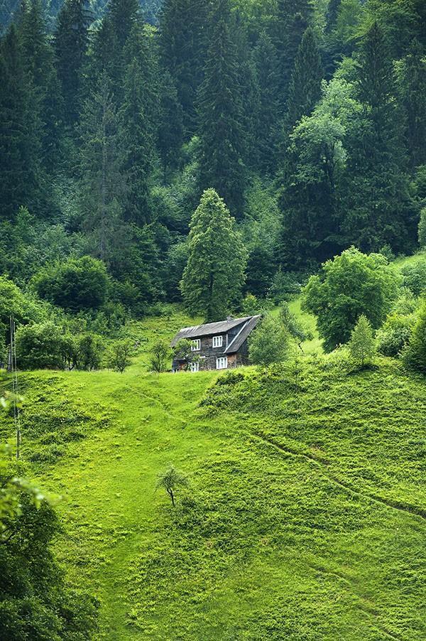 被螞蟻咬了算意外險(xiǎn)嗎？意外險(xiǎn)怎么理賠？