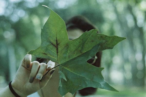 意外保險(xiǎn)生病住院能報(bào)銷嗎？報(bào)銷流程是什么？