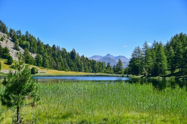 夏令營意外險多少錢？怎么買？