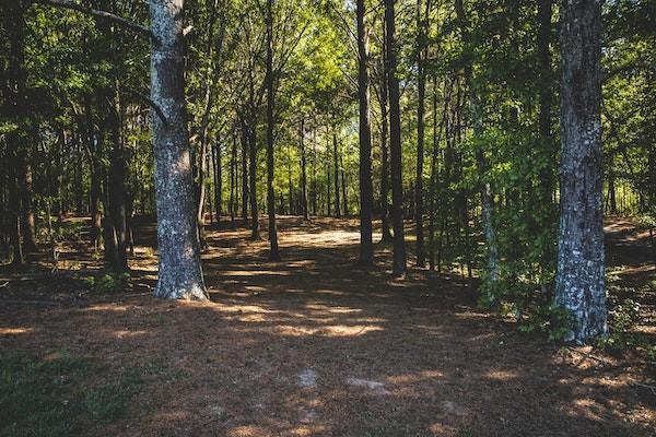 肩袖損傷意外險能報銷嗎？能報銷多少錢呢？