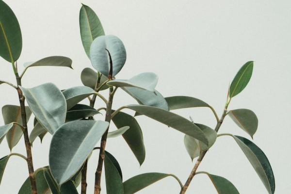 生病住院算意外險(xiǎn)嗎？保障范圍是什么？