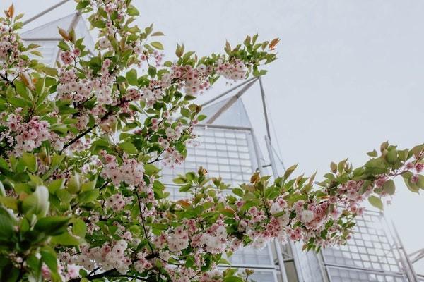 惠蓉保含不含意外保險？保障范圍有哪些呢？