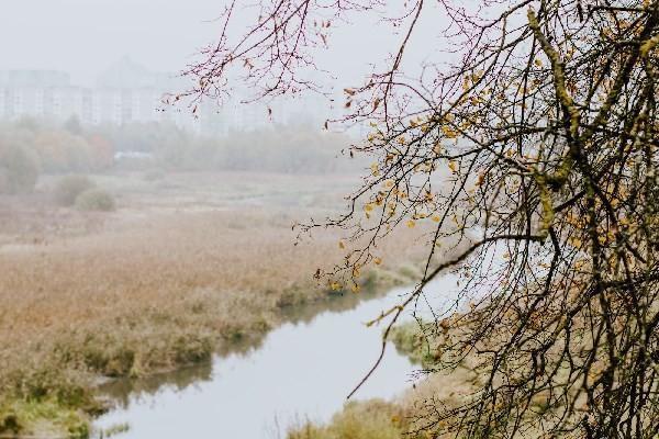 平安意外險(xiǎn)能報(bào)狂犬疫苗嗎？怎么報(bào)狂犬疫苗？
