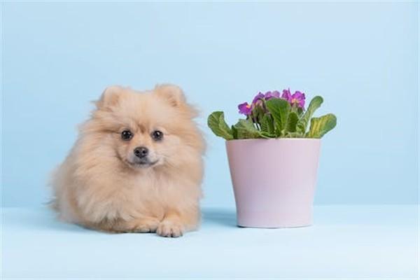 6類意外保險(xiǎn)是什么意思？值得買嗎？