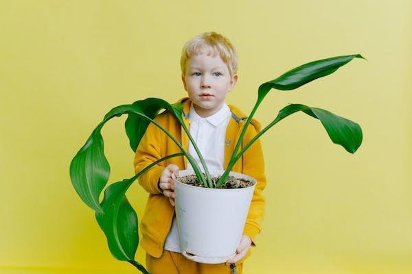 兒童住院商業(yè)保險報銷流程是怎樣的？報銷需要什么材料？