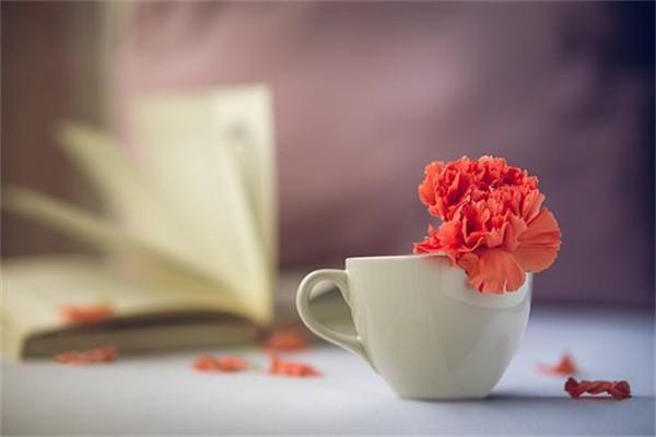 農(nóng)村意外傷害保險怎么報銷？報銷范圍是多少？