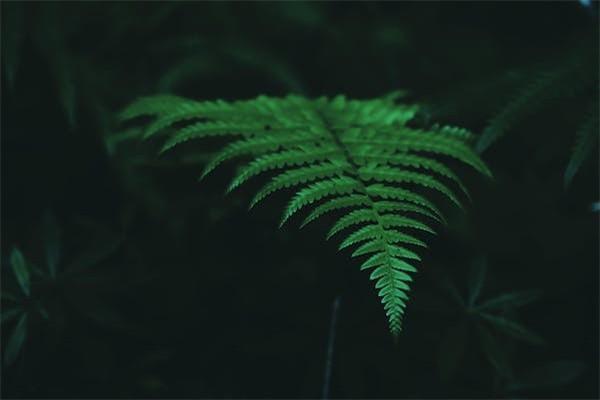 商業(yè)險(xiǎn)可以出險(xiǎn)幾次？出險(xiǎn)有影響嗎？