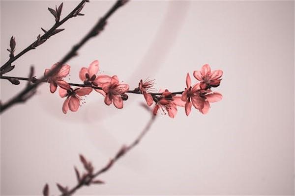 環(huán)衛(wèi)工人意外保險賠償標準是什么？賠償材料是什么？