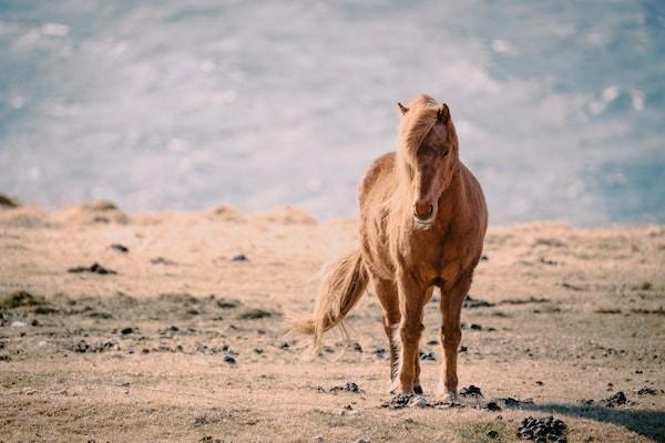 防貧保險賠付標準是多少？賠付流程是什么？