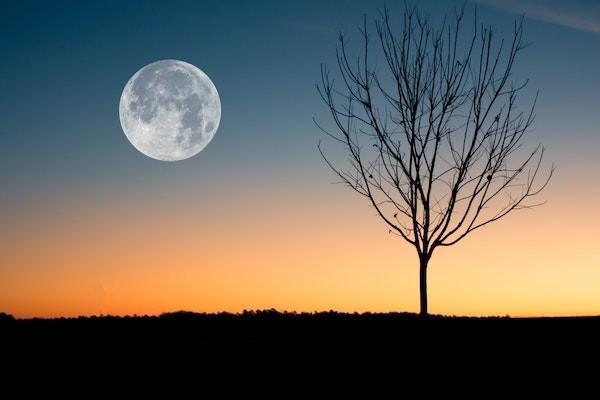 太平超醫(yī)保2021款保險(xiǎn)責(zé)任是哪些？值得買嗎？