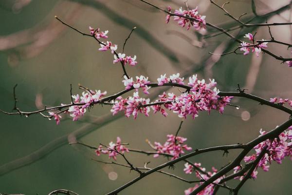 除了新農(nóng)合還有什么醫(yī)療保險(xiǎn)可以買？醫(yī)療保險(xiǎn)一般多少錢