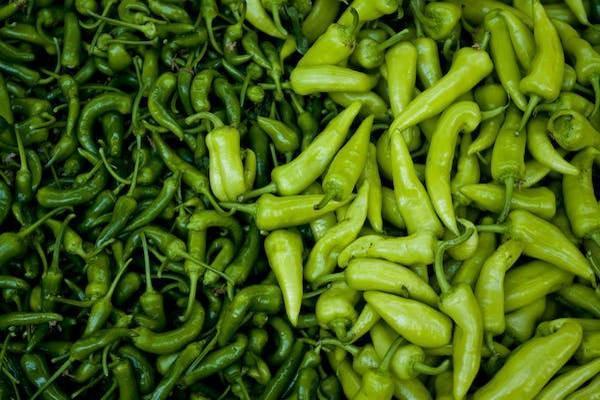 螞蟻保險(xiǎn)可以退全款嗎？退保怎么操作？