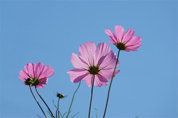 省內(nèi)醫(yī)療保險報銷比例是多少？報銷需要多長時間？