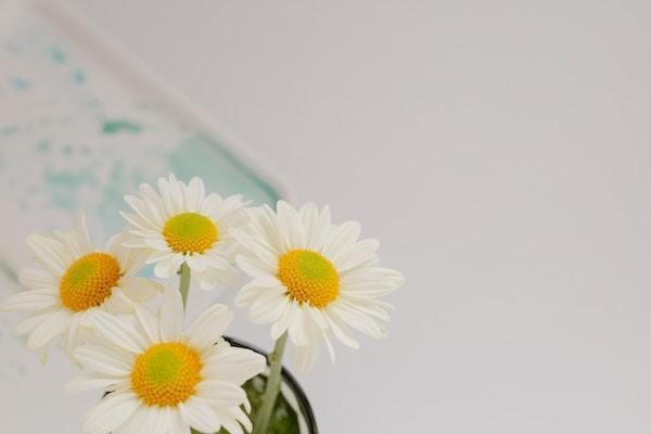 年度免賠額一萬(wàn)是什么意思？是怎么計(jì)算時(shí)間的？