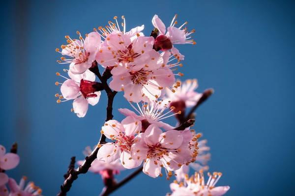 保險(xiǎn)公司理賠后資料能拿回來嗎？理賠的流程有哪些？