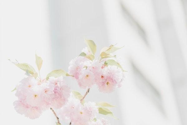 有腦梗病史的人買什么保險(xiǎn)好？買保險(xiǎn)應(yīng)該怎么買？