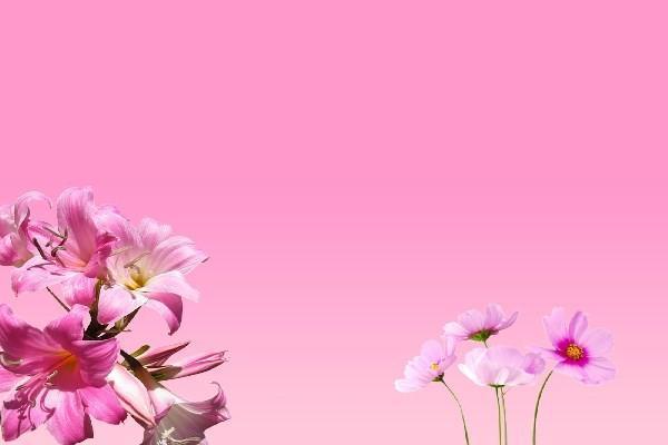 養(yǎng)老保險(xiǎn)交了三十年可以停嗎？停繳手續(xù)怎么辦理？