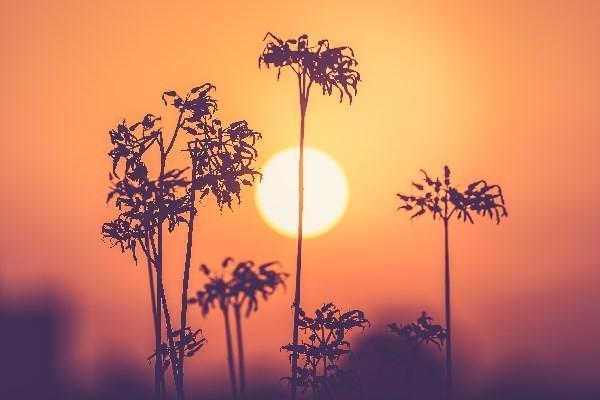 駕乘險可以退保嗎？退保退多少錢？