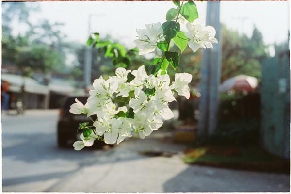 分紅險(xiǎn)沒(méi)到期可以退保嗎？怎么退保？