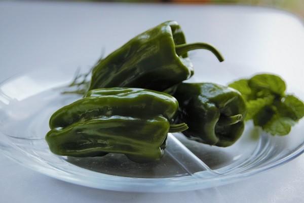 餐飲員工意外險一年多少錢