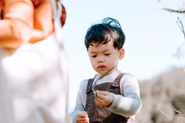 人壽保險(xiǎn)保單丟了可以退保嗎？怎么退保？