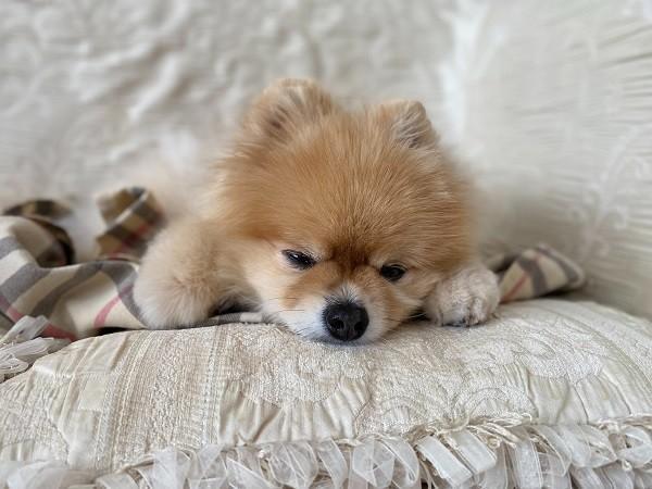 得了睡眠障礙能買保險嗎？怎么買？