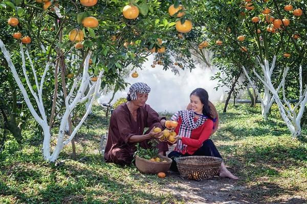 太平樂享太平兩全保險能退保嗎？退保流程是什么？