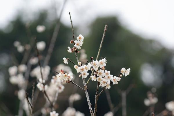 孝無憂特定疾病醫(yī)療保險怎么樣？有什么優(yōu)點？