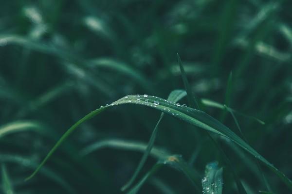 人壽保險(xiǎn)沒交夠年限能退本金嗎？退保的流程有哪些？