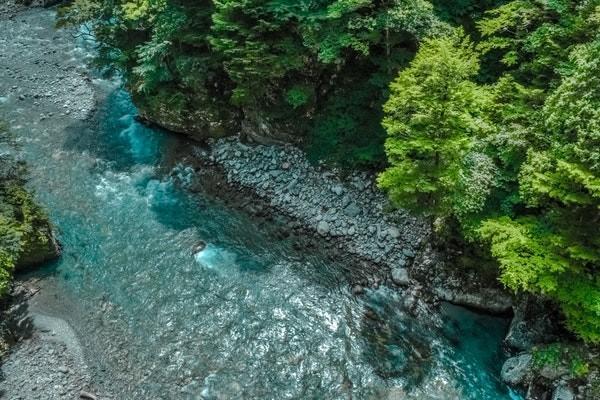 財信人壽退保流程是怎樣的？能退多少錢？