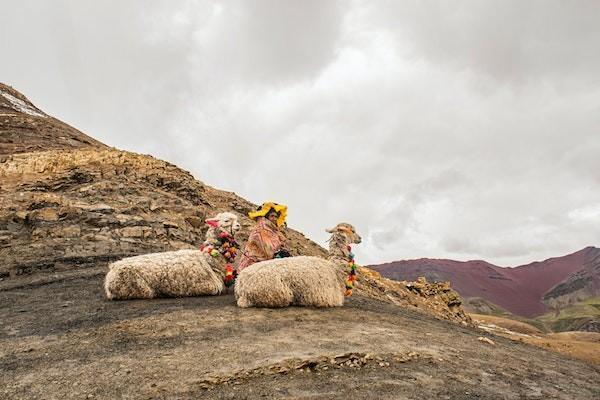 好醫(yī)保精神疾病可以理賠嗎？怎么理賠？