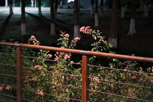 太平洋保險(xiǎn)電話退保怎么操作？退保材料是什么？