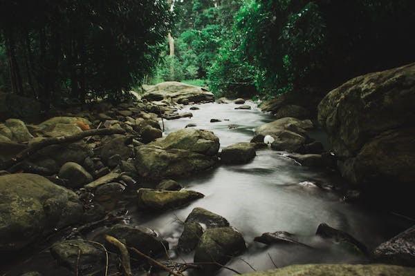 中國人?？梢跃W(wǎng)上退保嗎？網(wǎng)上退保流程是什么？