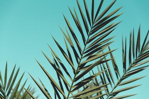 醫(yī)療險可以多家保險公司理賠嗎？怎么理賠？